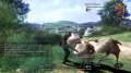 Final Fantasy XIV : un l�cher d'images
