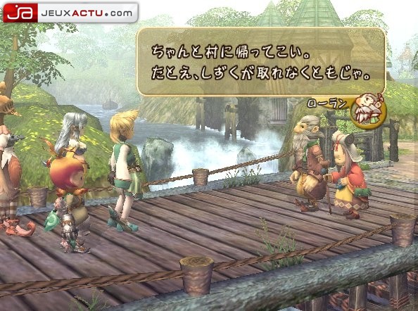 Final Fantasy : Crystal Chronicles