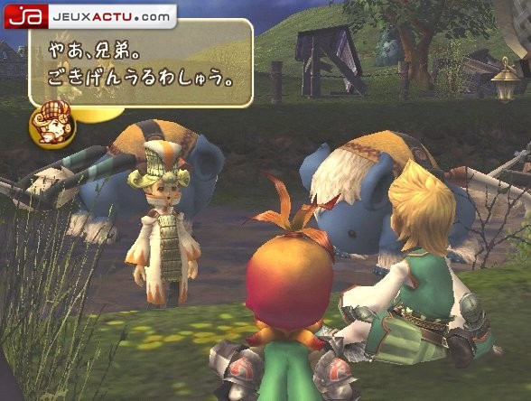 Final Fantasy : Crystal Chronicles