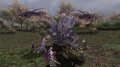Final Fantasy XI se compile pour 2008
