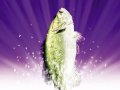 Fishing Master fr�tille en images