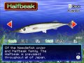 Fishing Master se d�voile