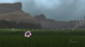 Flower en images et vid�o