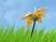 Flower s'explique en vid�o