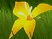 Flower : une vid�o au gr� du vent