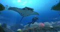 E3 07 > Forever Blue : toujours en apn�e