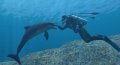 E3 07 > Forever Blue : toujours en apn�e