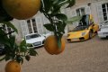 Forza 3 en direct des 24 heures du Mans
