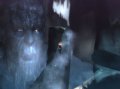 God of War II : OST, images et vid�os