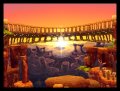 E3 09 > Golden Sun DS en route [MAJ]
