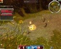 Guild Wars