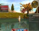 Guild Wars
