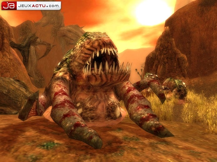 Guild Wars