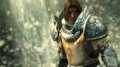 GC 09 > Guild Wars 2 frappe fort