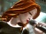 Guitar Hero 5 : Shirley Manson s'exhibe