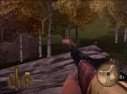 Gun
