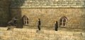 Harry Potter et l'Ordre du Ph�nix