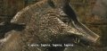Harry Potter et l'Ordre du Ph�nix