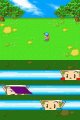 Harvest Moon DS