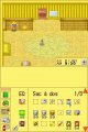 Harvest Moon DS