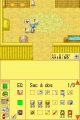 Harvest Moon DS
