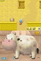 Harvest Moon DS
