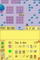 Harvest Moon DS