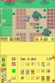 Harvest Moon DS