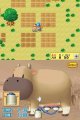 Harvest Moon DS