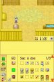 Harvest Moon DS