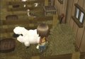 Harvest Moon : L'Arbre de la S�r�nit�