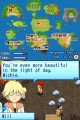 Harvest Moon : Sun & Friends s'exporte