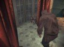 Haunting Ground