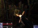 Hellforces & les femmes