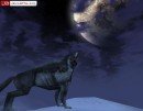 Horizons: Empires Of Istaria en Images