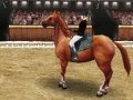 EXCLUSIF : Horse Life