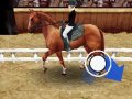 EXCLUSIF : Horse Life