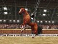EXCLUSIF : Horse Life