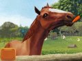 EXCLUSIF : Horse Life