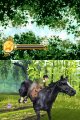 Horse Life