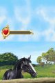 Horse Life