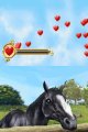 Horse Life