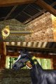 Horse Life