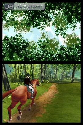 Horse Life