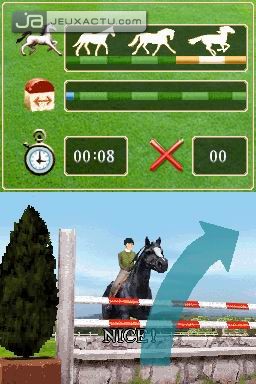 Horse Life