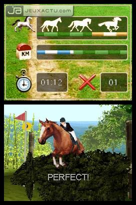 Horse Life