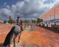 Horse Life 2 en exhibition