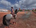 Horse Life 2 en exhibition