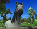 Horse Life 2 en exhibition