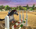 Horse Life 2 en exhibition